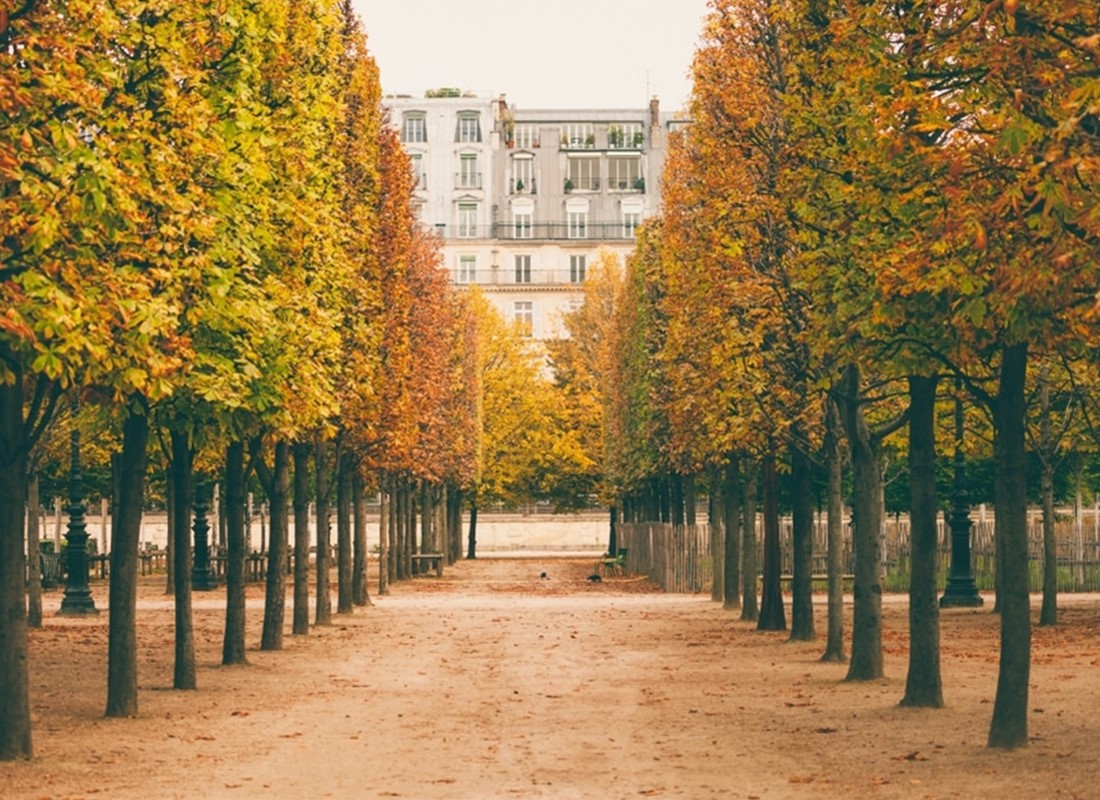 Benefits Of Paris Autumn